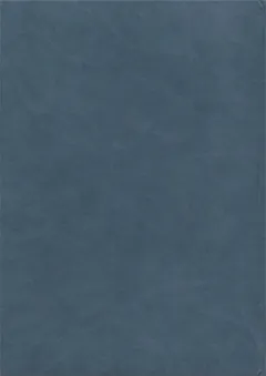 Старонка 488