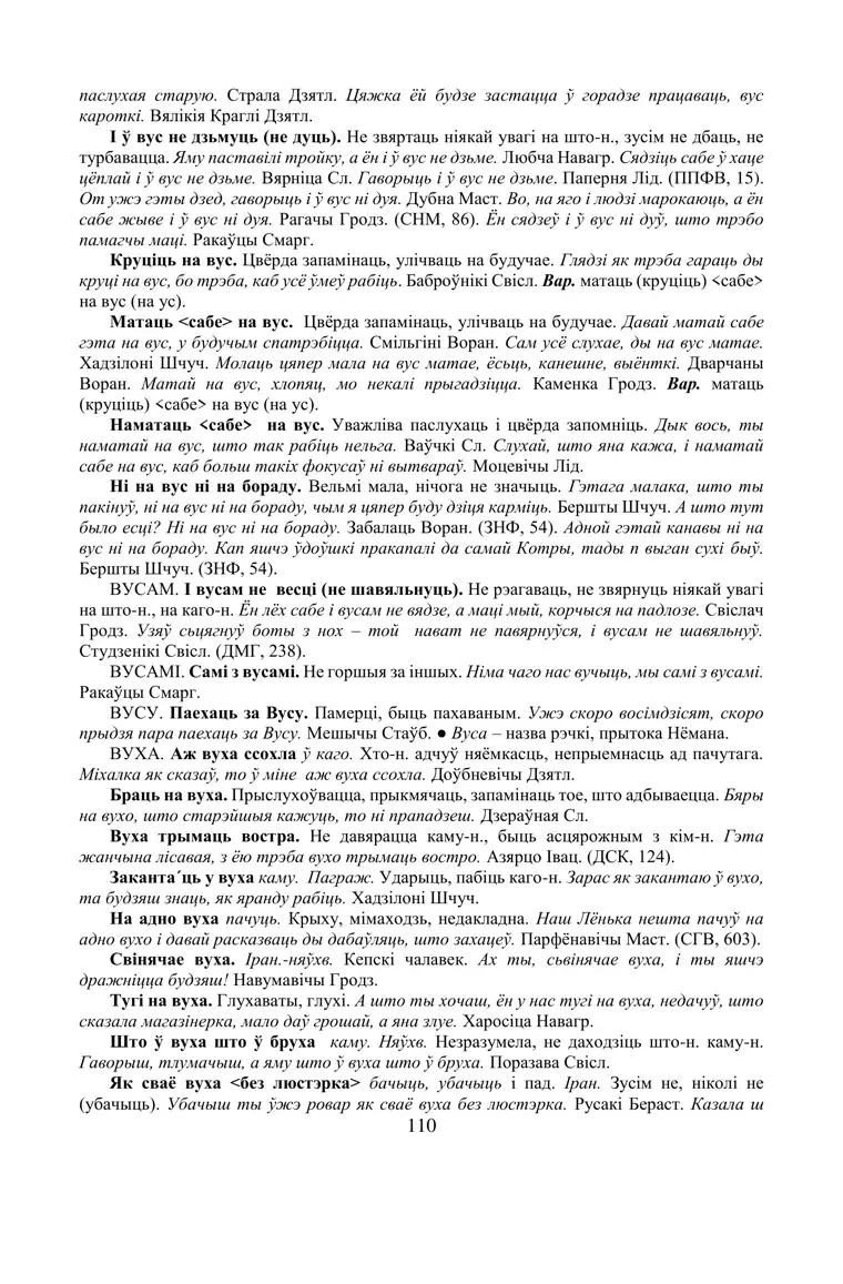 Старонка 110