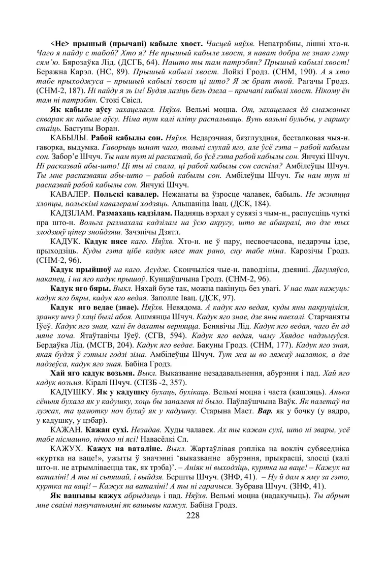 Старонка 228