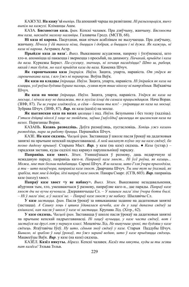 Старонка 229