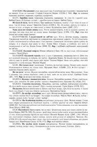 Старонка 231