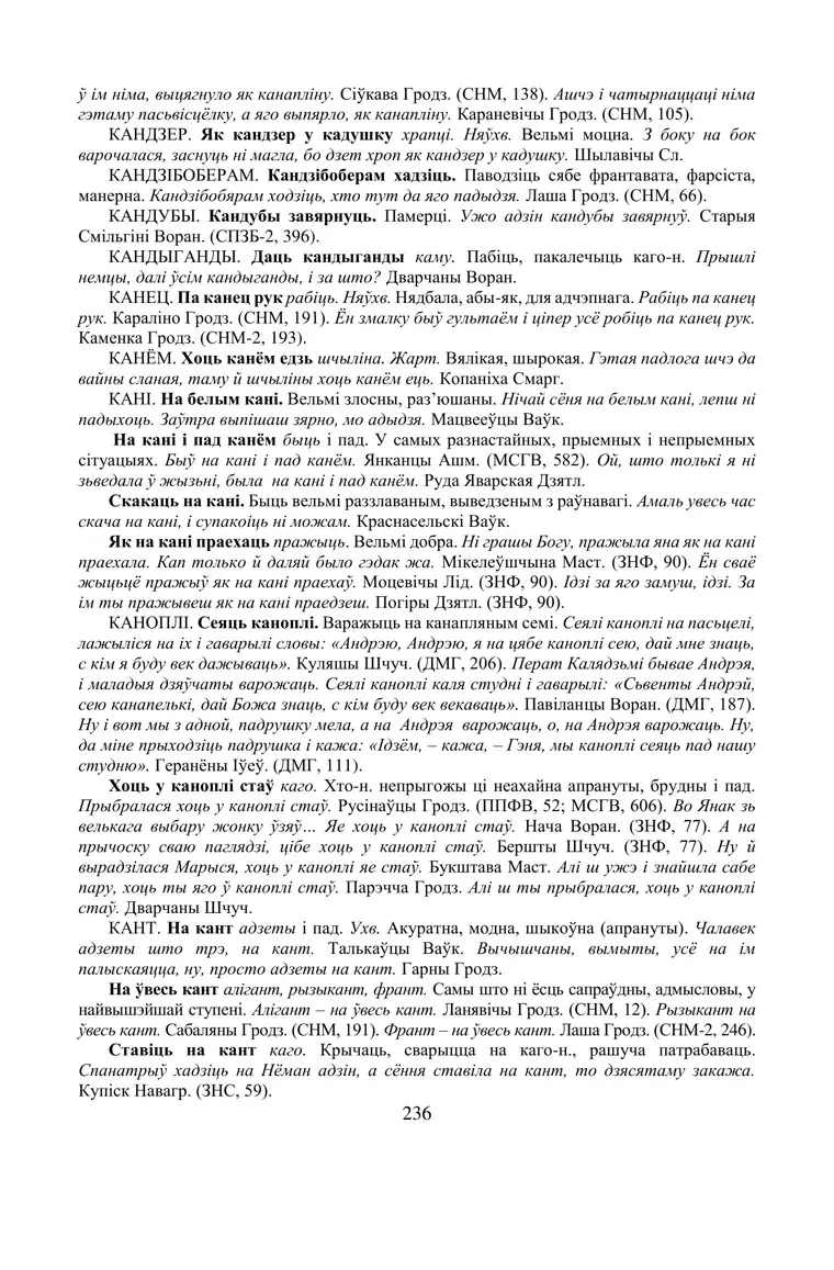 Старонка 236