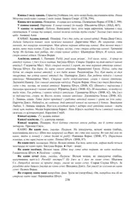 Старонка 238