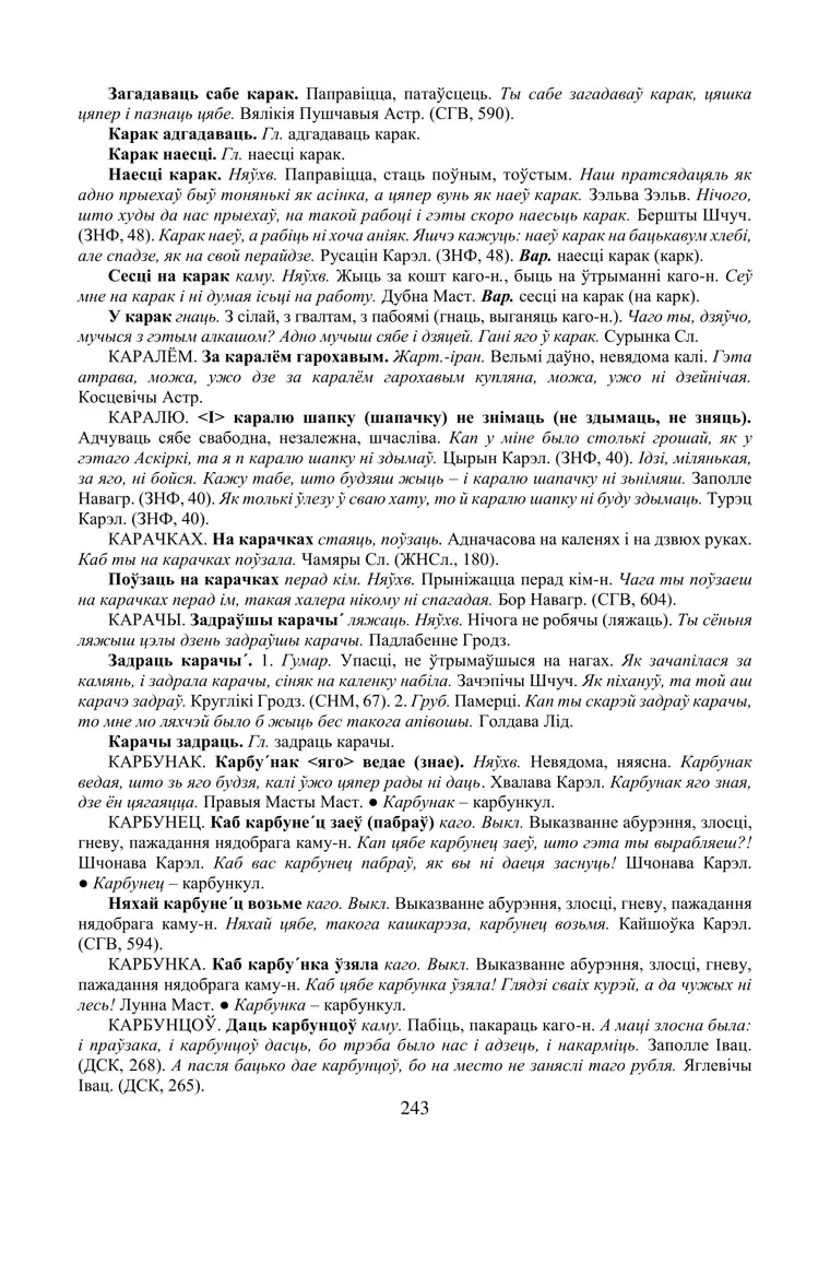 Старонка 243