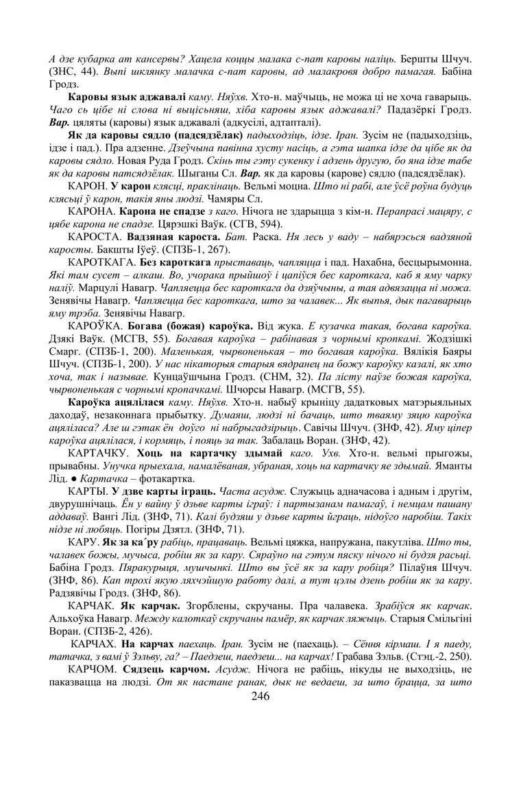 Старонка 246