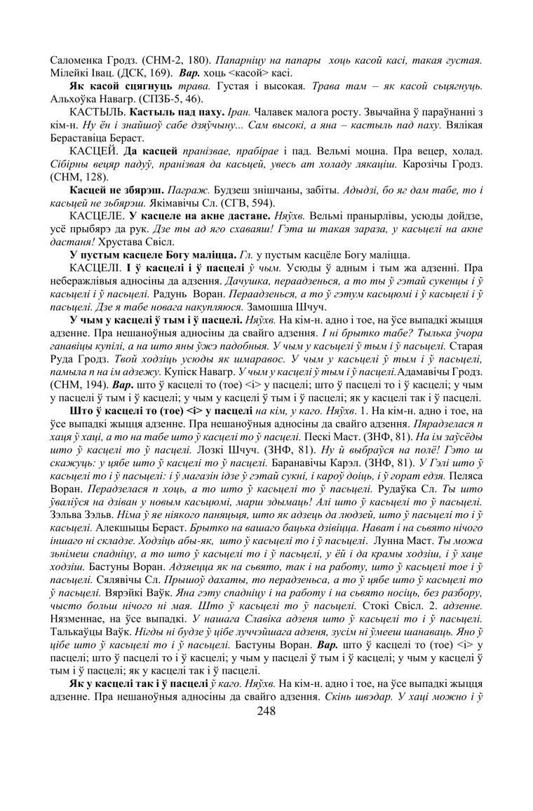 Старонка 248