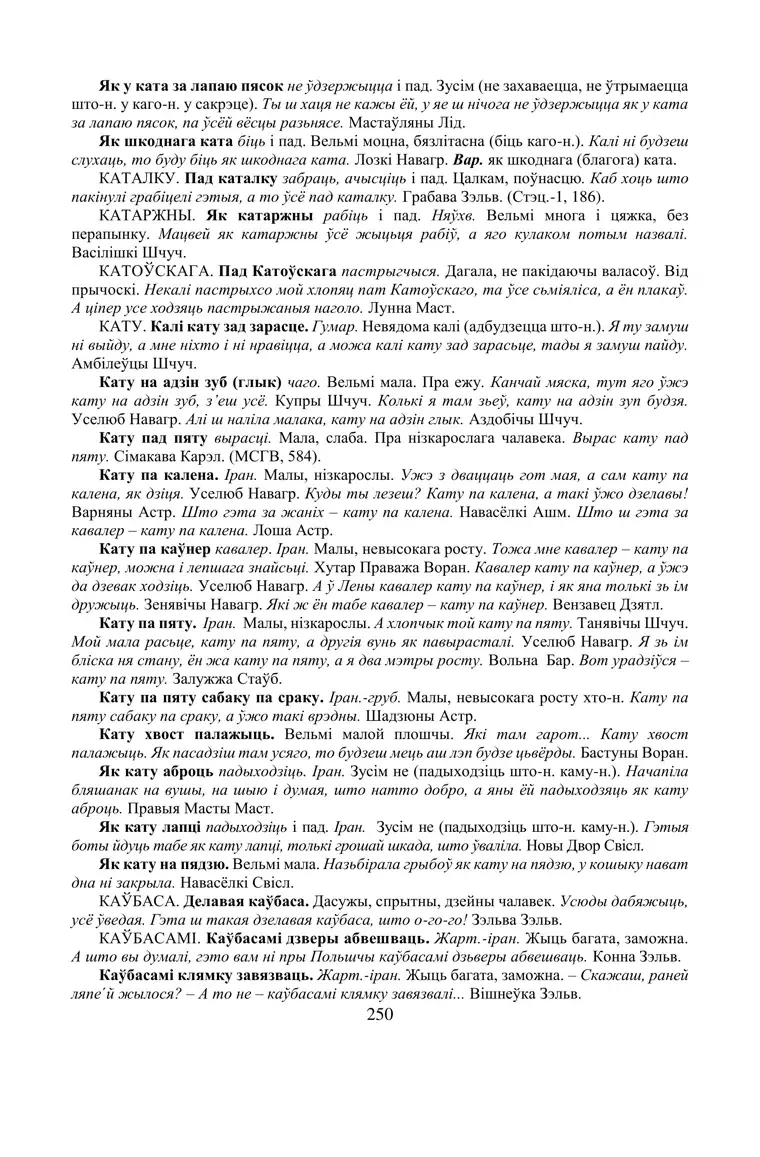 Старонка 250