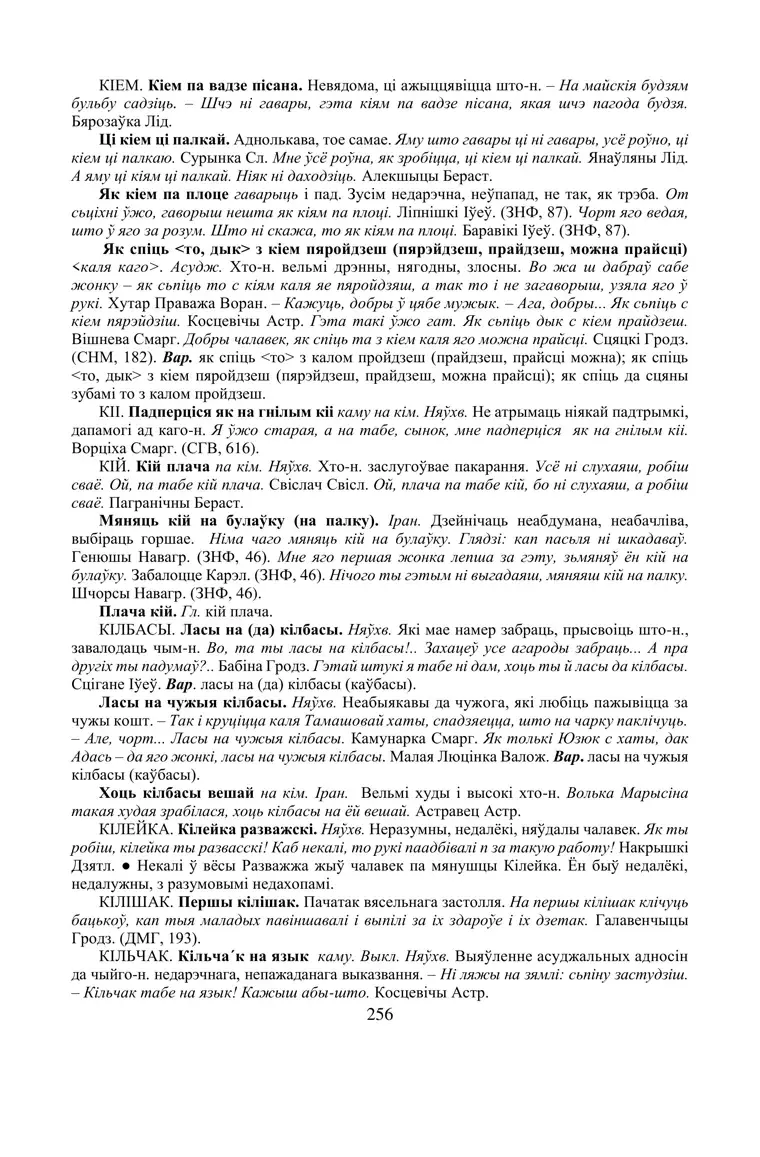 Старонка 256