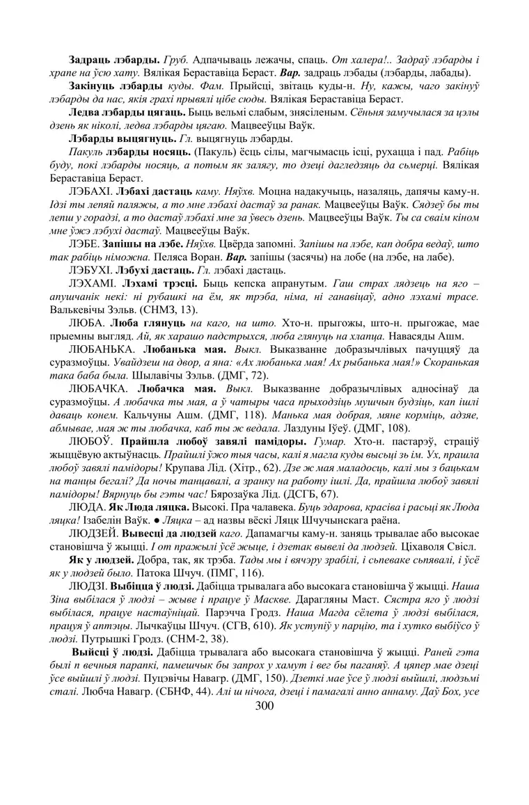 Старонка 300