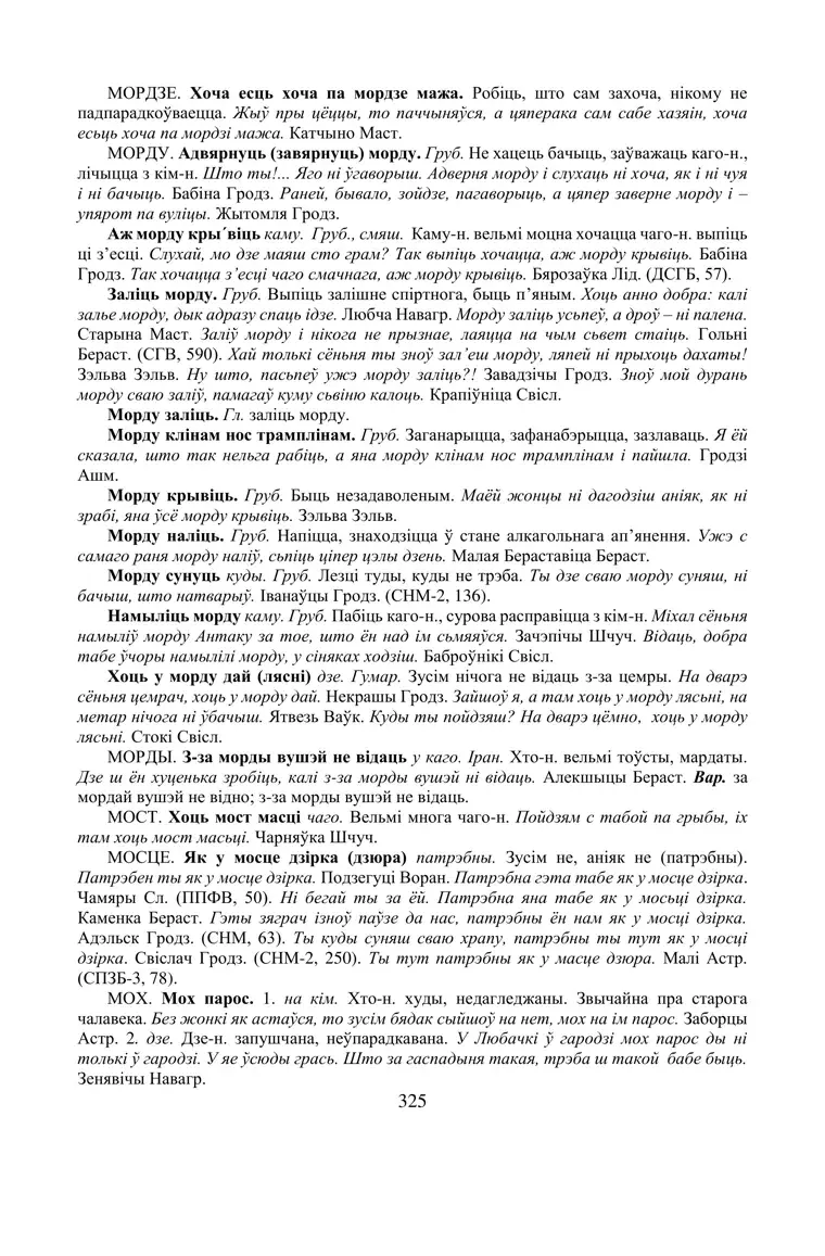 Старонка 325