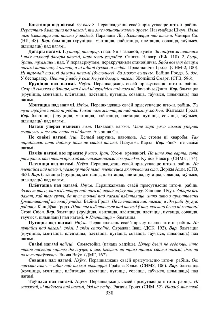 Старонка 338