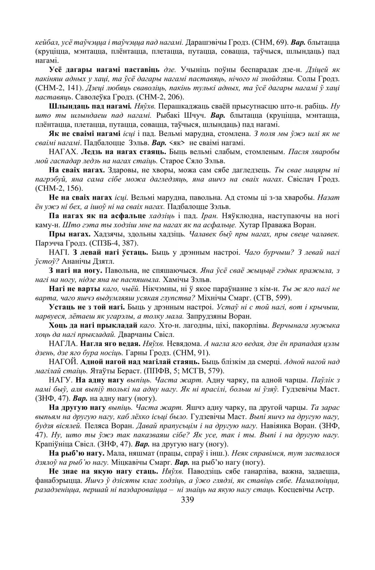 Старонка 339