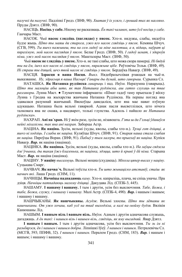 Старонка 341