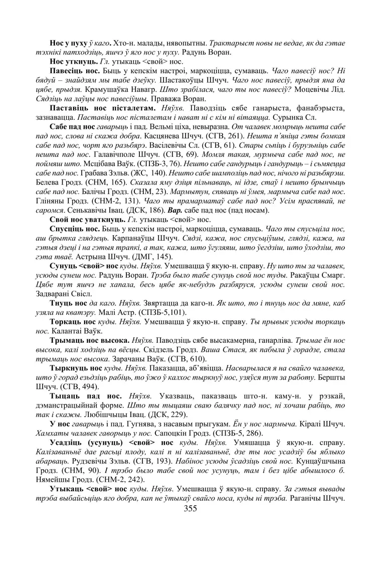 Старонка 355