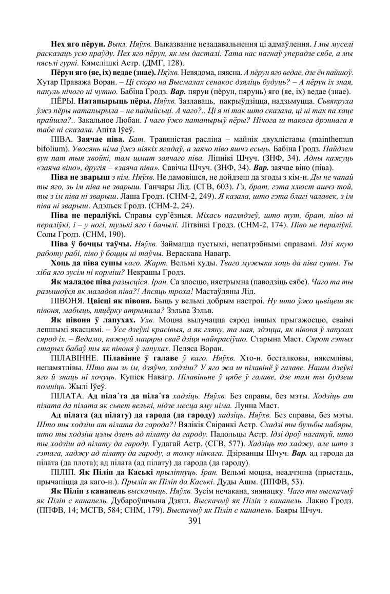 Старонка 391