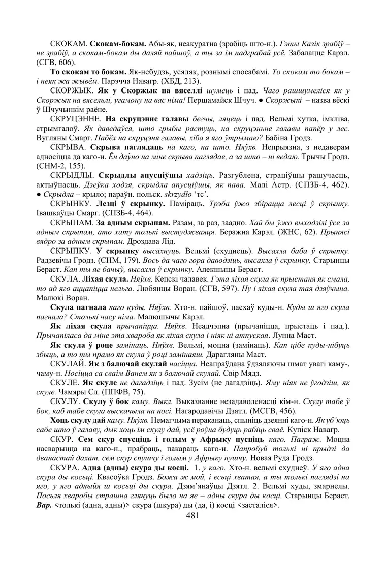 Старонка 481