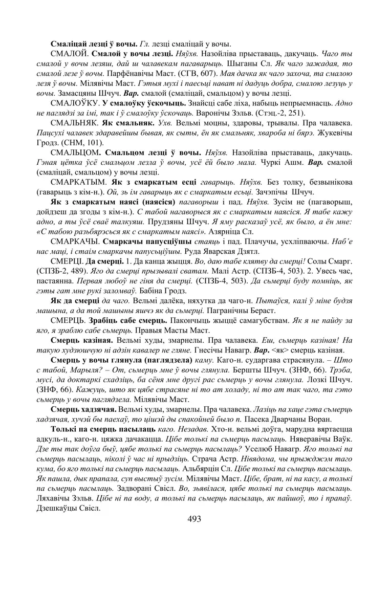 Старонка 493