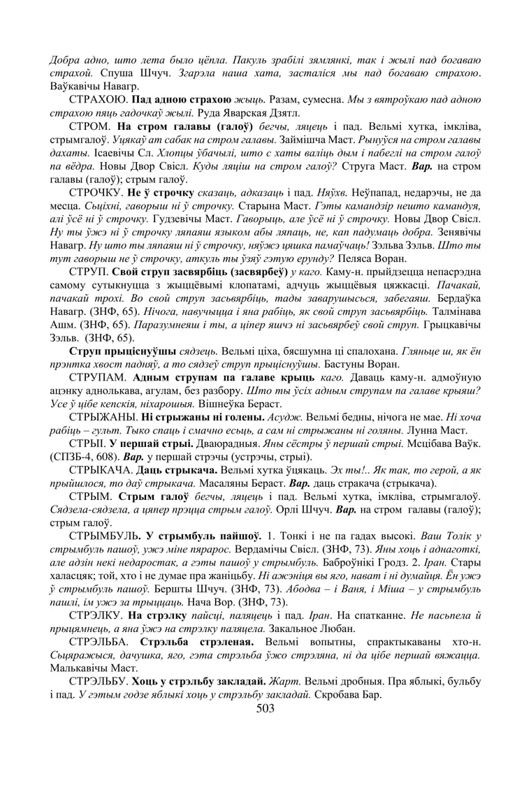 Старонка 503