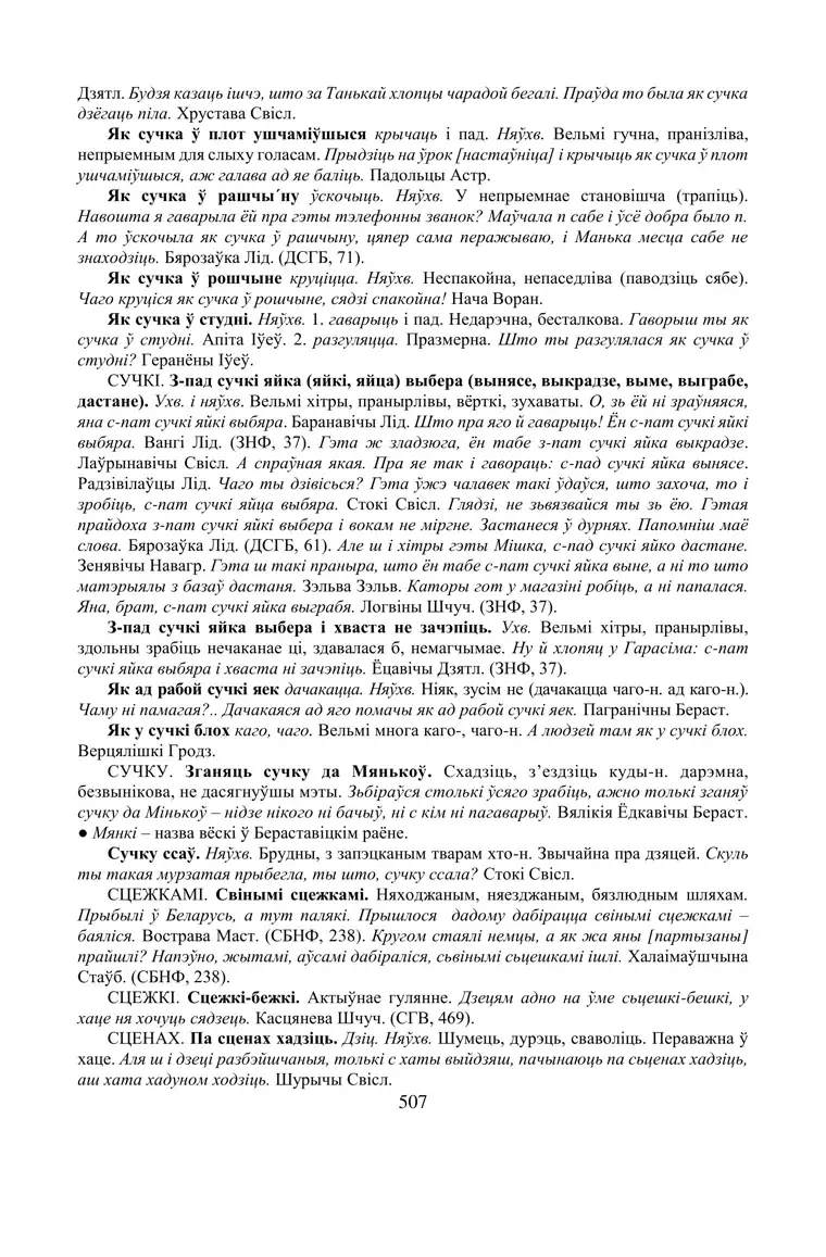 Старонка 507