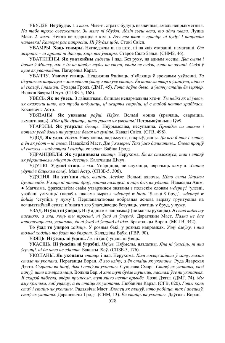 Старонка 528