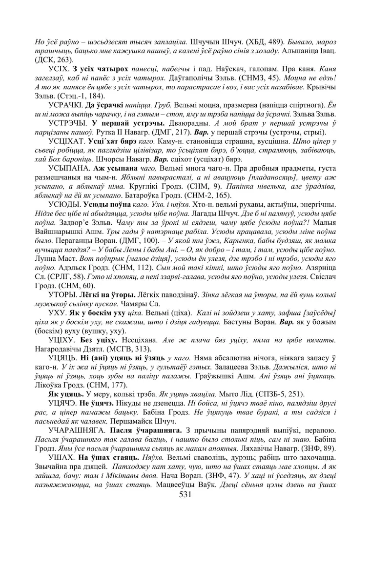 Старонка 531