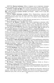 Старонка 535