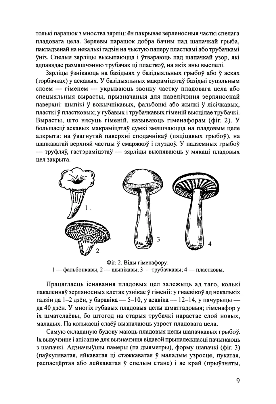 Старонка 11