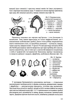 Старонка 17