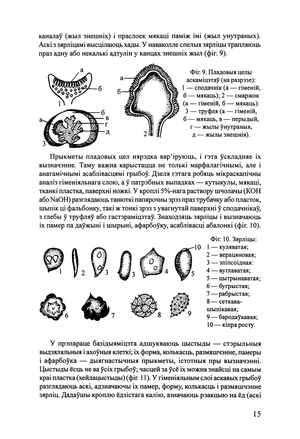 Старонка 17