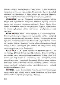 Старонка 102