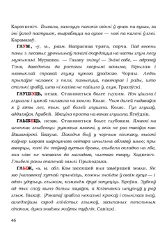Старонка 46