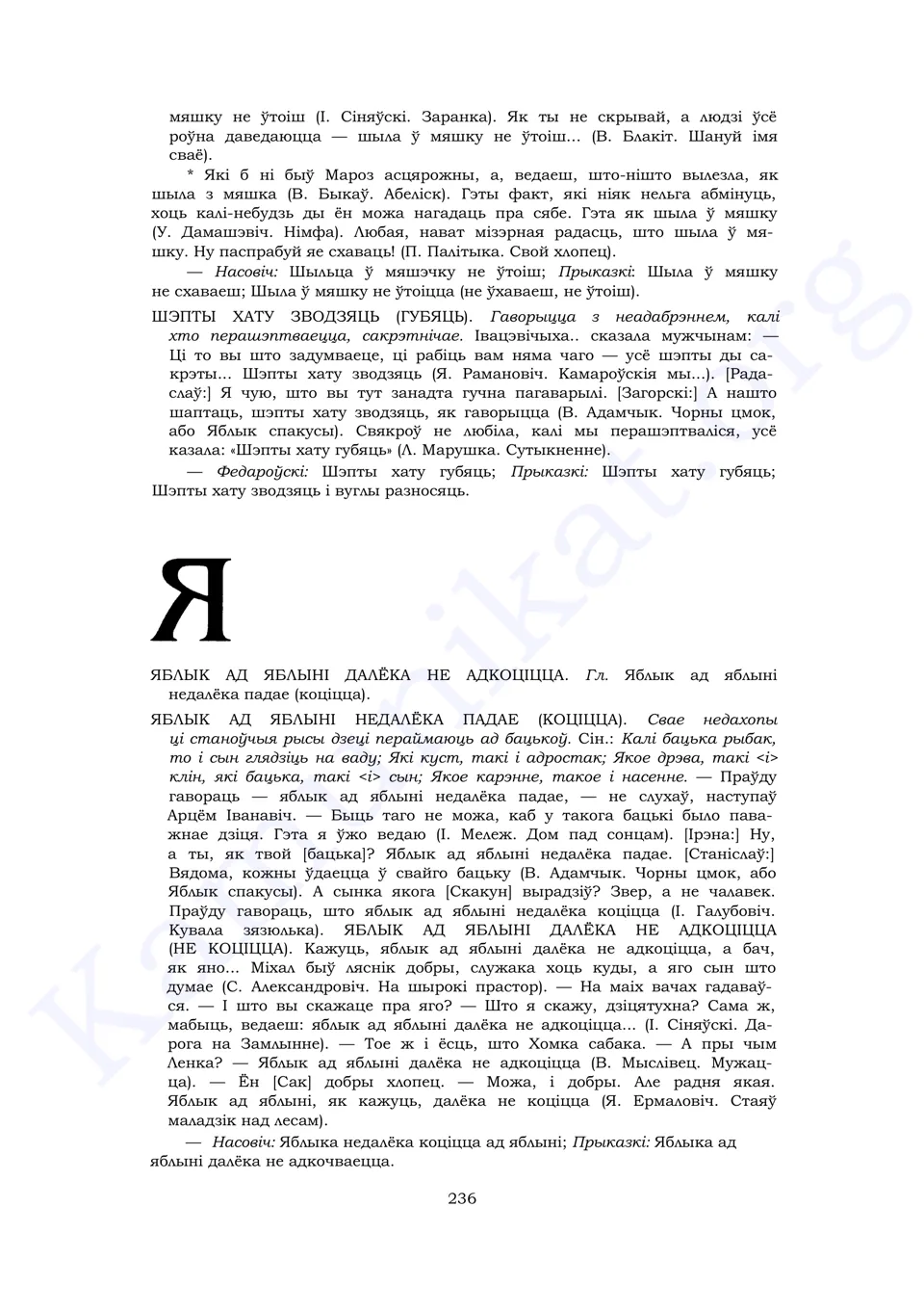 Старонка 234