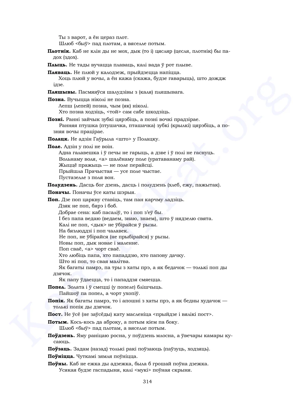 Старонка 312