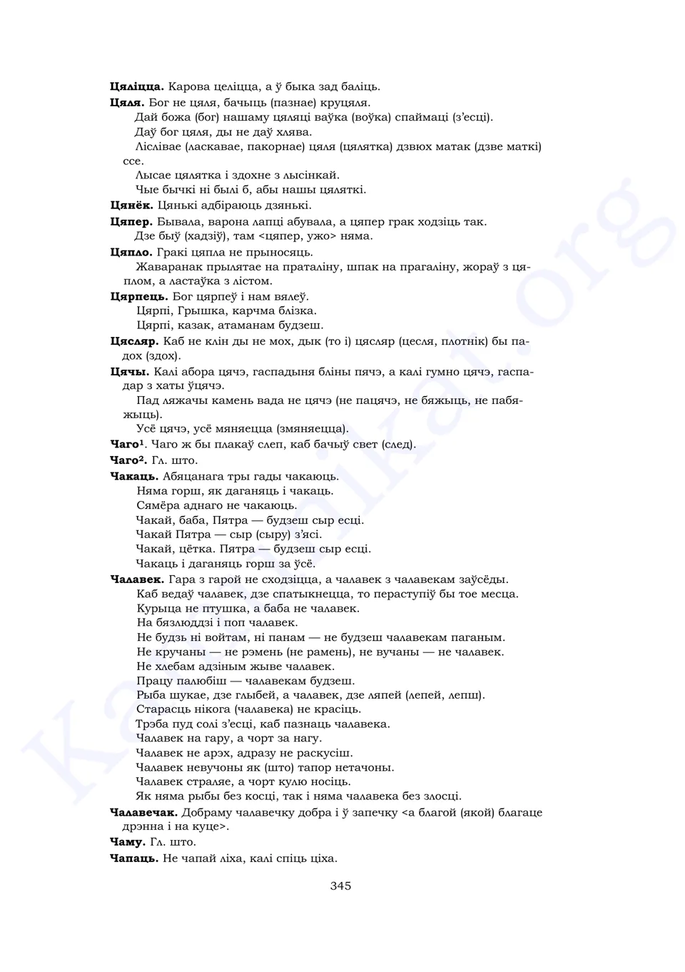 Старонка 343